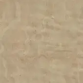 Sicomoro wood veneer, light beige tone, flowing grain pattern with dark knots and a glossy, polished finish.